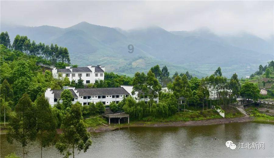 逗小猴开心系列197